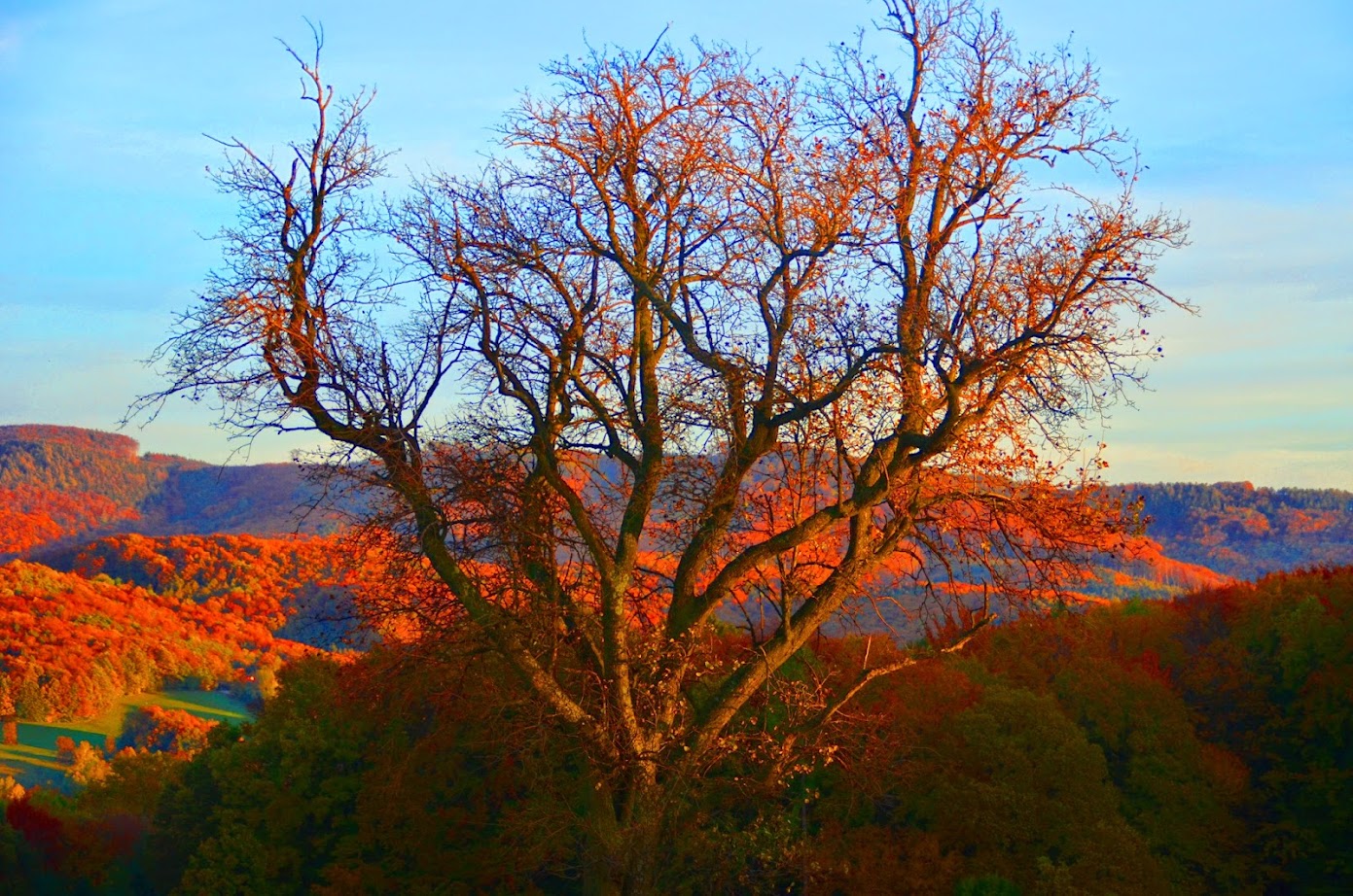 Berglauf auf den Hohen Stein – IÖBLC