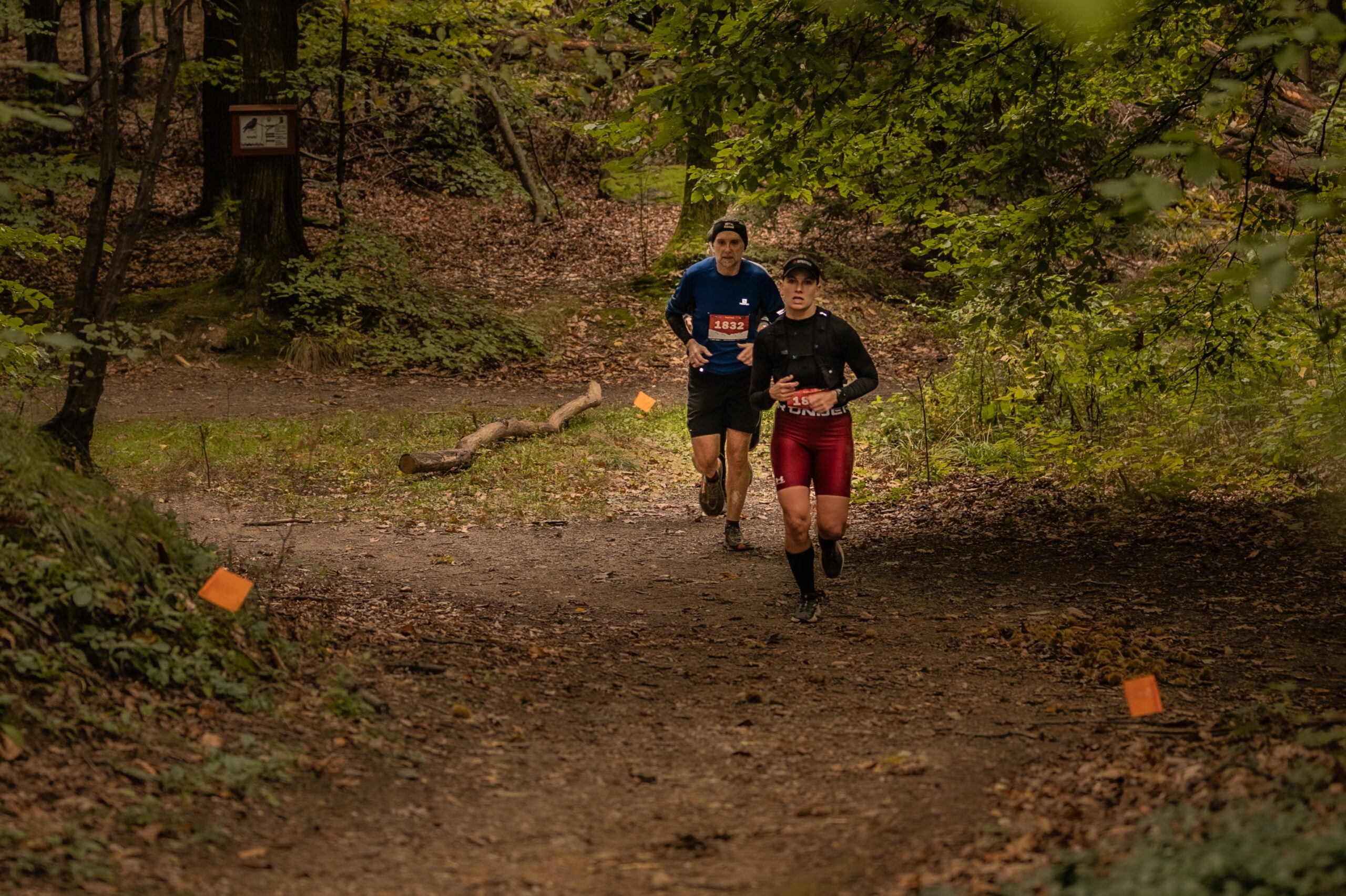 Reisberglauf – IÖBLC