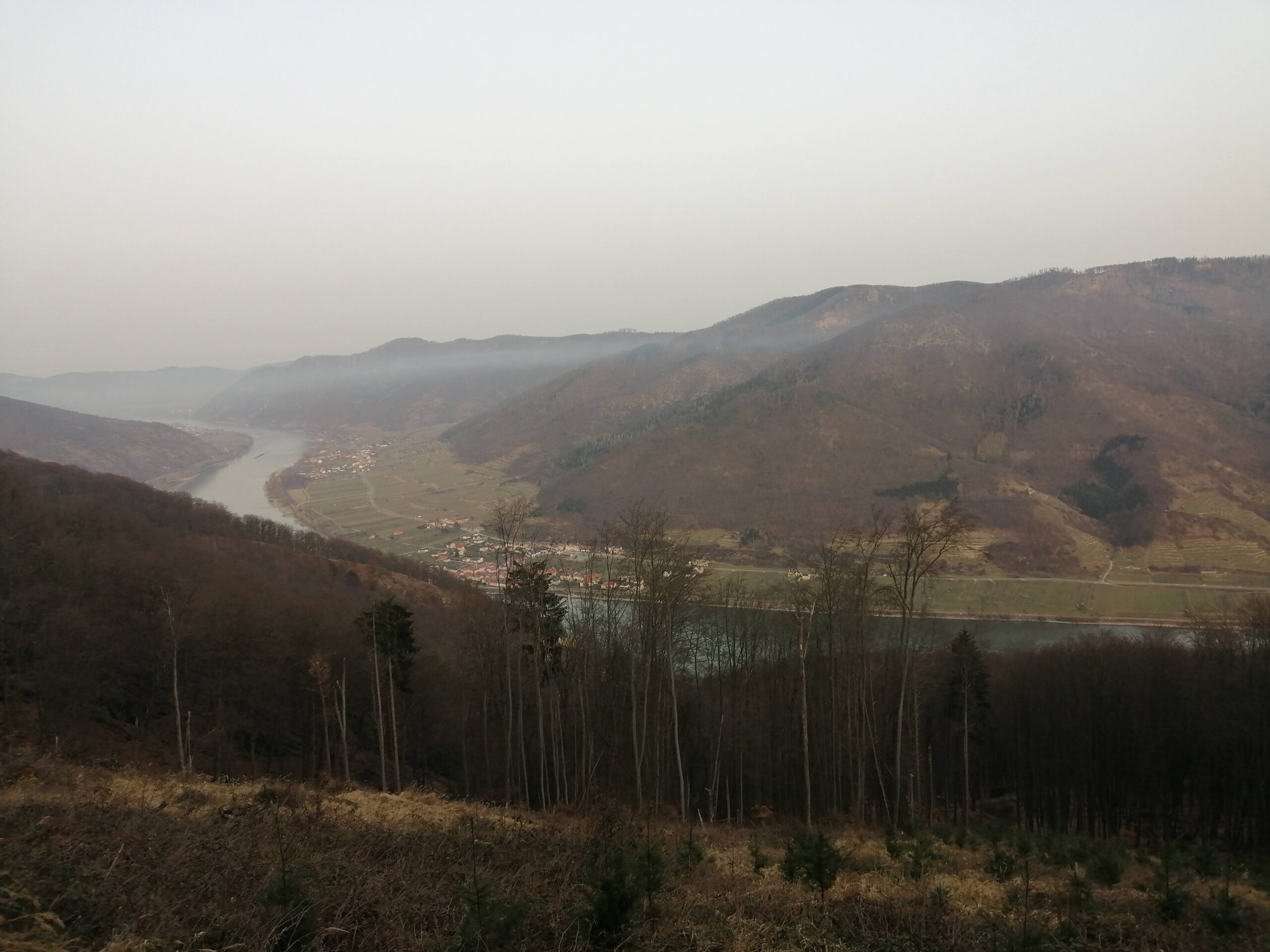 50. Jauerling Berglauf – IÖBLC